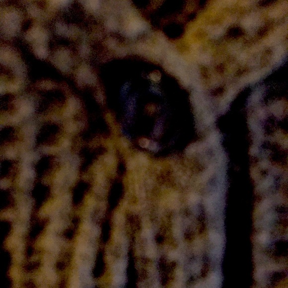 Multicolored long sleeved crop top - Picture 4 of 5